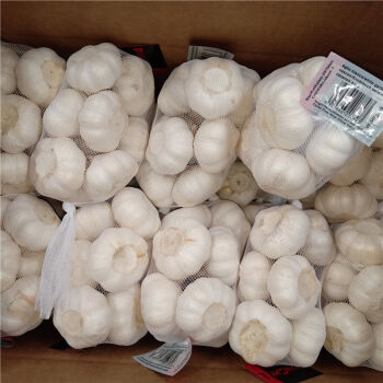 it外包服務公司_it服務外包_it維護外包