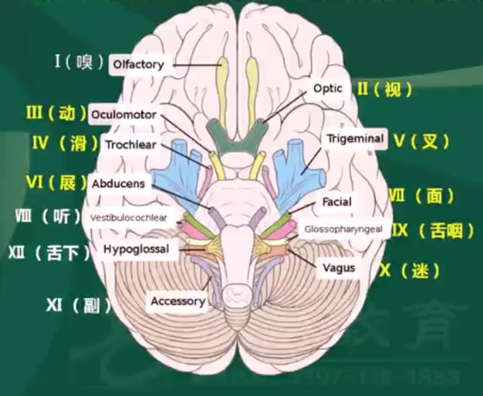 電梯調試員技術比維保高_物聯網技術調試員論壇_it技術員